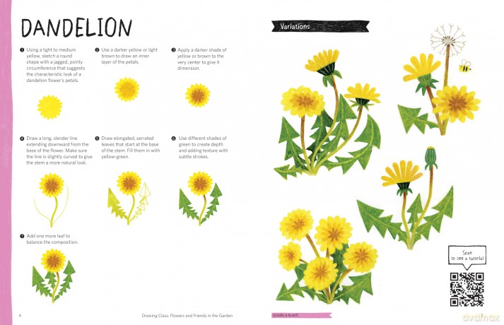 Drawing Class: Flowers and Friends in the Garden: Learn to Draw with Simple Shapes and Online Tutorials - Access video tutorials for 60 drawings via QR codes - Heegyum Kim [KSIĄŻKA]