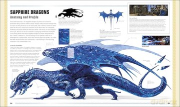 Dungeons & Dragons The Book of Dragons - Michael Witwer [KSIĄŻKA]