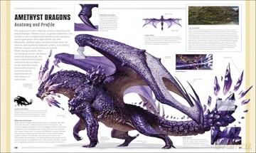 Dungeons & Dragons The Book of Dragons - Michael Witwer [KSIĄŻKA]