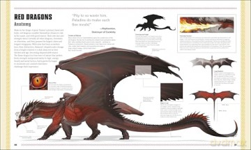 Dungeons & Dragons The Book of Dragons - Michael Witwer [KSIĄŻKA]