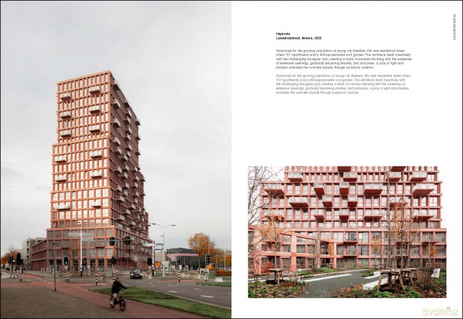 Dutch Architects Today: Hedendaagse Nederlandse Architecten - Agata Toromanoff [KSIĄŻKA]