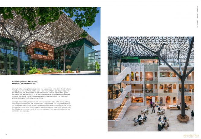 Dutch Architects Today: Hedendaagse Nederlandse Architecten - Agata Toromanoff [KSIĄŻKA]