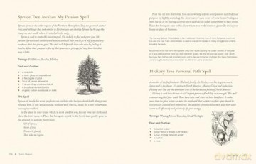 Earth Magick: A Grimoire of Nature Spells - Cheralyn Darcey [KSIĄŻKA]