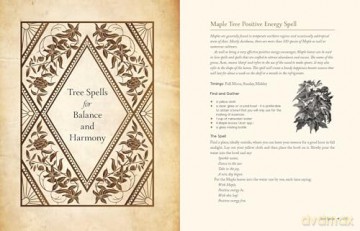 Earth Magick: A Grimoire of Nature Spells - Cheralyn Darcey [KSIĄŻKA]