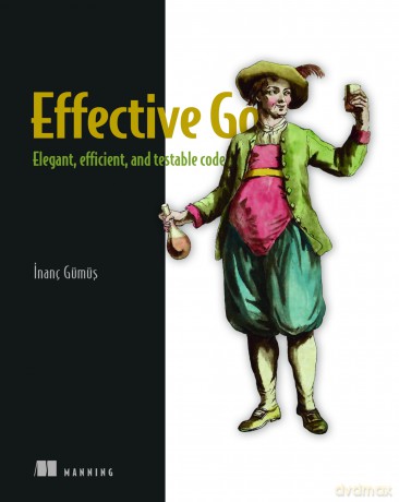 Effective Go: Programmer's Guide to Idiomatic and Testable Code - Inanc Gumus [KSIĄŻKA]
