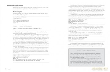 Effective Shell: A Practical User's Guide to Working Smarter on the Command Line - David Kerr [KSIĄŻKA]