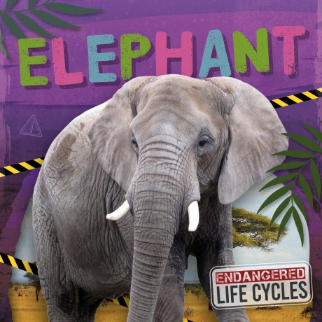Elephant - E.C. Andrews [KSIĄŻKA]