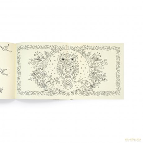 Enchanted Forest: 10th Anniversary Limited Special Edition - Johanna Basford [KSIĄŻKA]