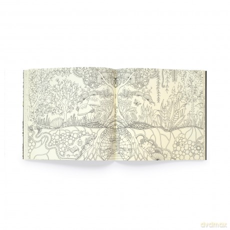 Enchanted Forest: 10th Anniversary Limited Special Edition - Johanna Basford [KSIĄŻKA]