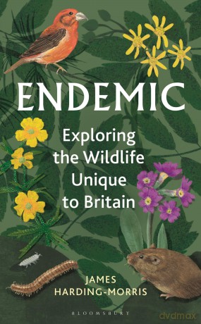 Endemic: Exploring the wildlife unique to Britain - James Harding-Morris [KSIĄŻKA]