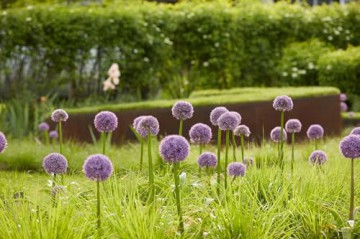 Enduring Gardens: The Tame and the Wild - Campion Hruby Landscape Architects [KSIĄŻKA]