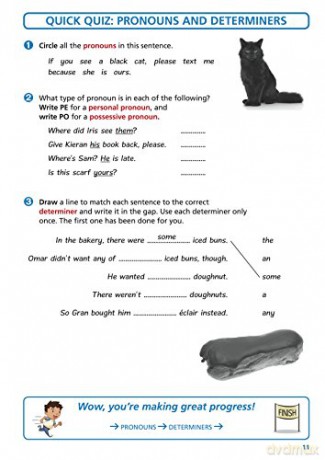English SATs Catch Up Grammar, Punctuation and Spelling: York Notes for KS2: catch up, revise and be ready for 2022 exams - Rebecca Adlard [KSIĄŻKA]