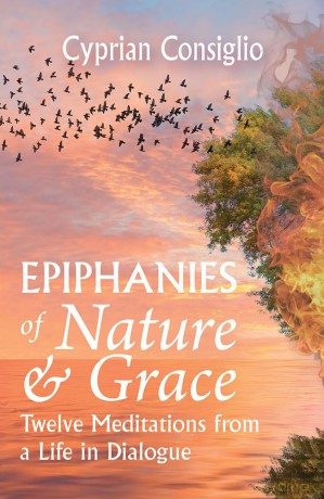 Epiphanies of Nature and Grace: Twelve Meditations from a Life in Dialogue - Cyprian Consiglio [KSIĄŻKA]