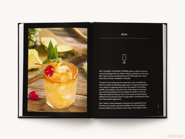 ESSENTIALS: Cocktails: Over 500 Classic Recipes - Editors of Cider Mill Press [KSIĄŻKA]