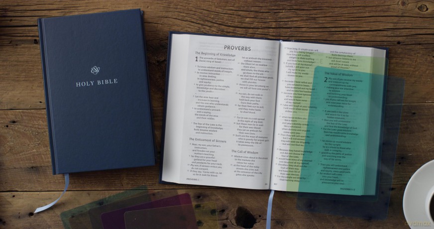 ESV Holy Bible: Dyslexia-Friendly Edition - ESV [KSIĄŻKA]