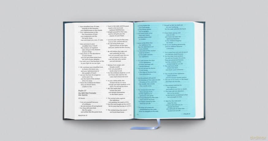 ESV Holy Bible: Dyslexia-Friendly Edition - ESV [KSIĄŻKA]