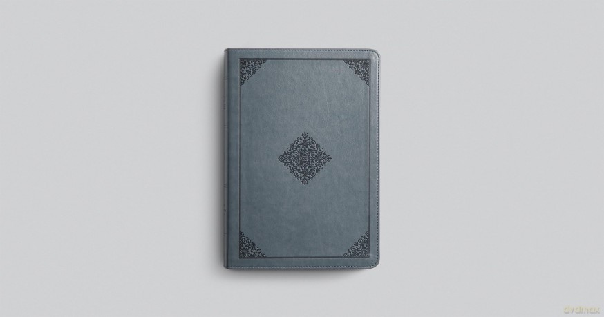 ESV Large Print Wide Margin Bible - ESV [KSIĄŻKA]