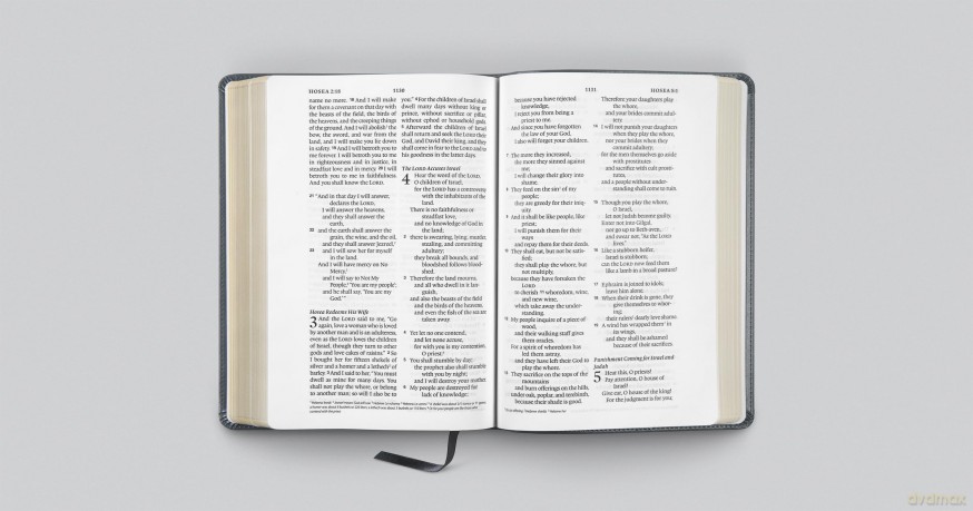 ESV Large Print Wide Margin Bible - ESV [KSIĄŻKA]