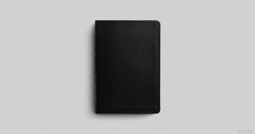ESV Personal Reference Bible - ESV [KSIĄŻKA]