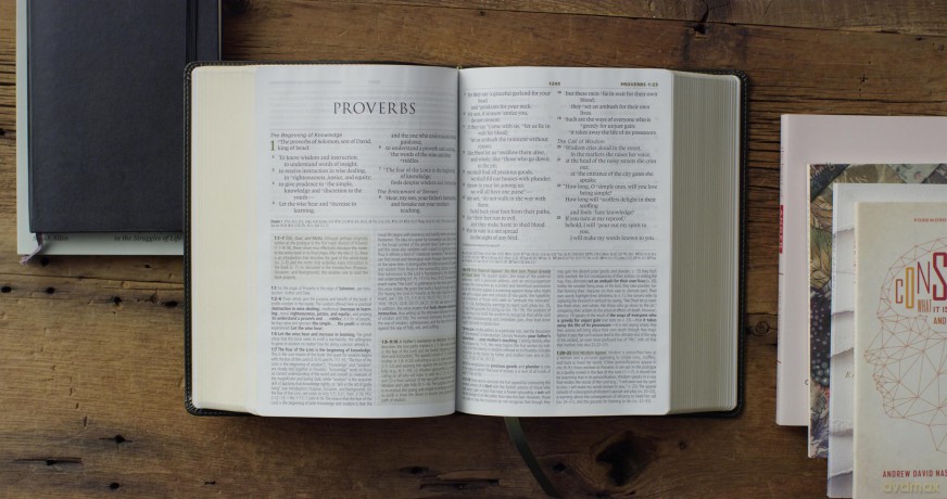 ESV Study Bible, Large Print - ESV [KSIĄŻKA]