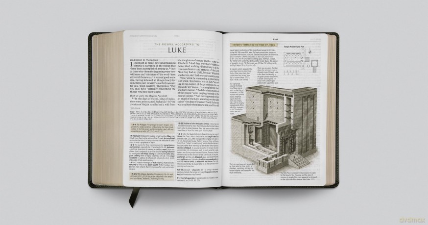 ESV Study Bible, Large Print - ESV [KSIĄŻKA]