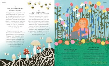 Everything Under the Sun: All Around the World: The BRAND NEW book of curious questions for every day of the year - Molly Oldfield [KSIĄŻKA]