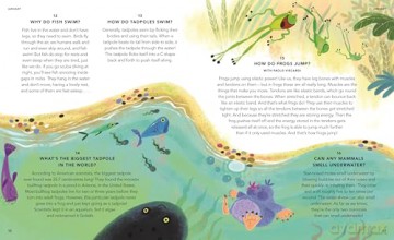 Everything Under the Sun: All Around the World: The BRAND NEW book of curious questions for every day of the year - Molly Oldfield [KSIĄŻKA]