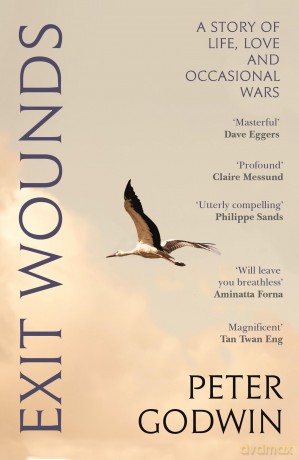 Exit Wounds: A Story of Love, Loss and Occasional Wars - Peter Godwin [KSIĄŻKA]