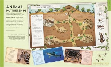 Explore: Science: A Visual Journey Through Our World - DK [KSIĄŻKA]