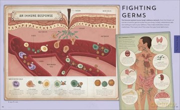 Explore: Science: A Visual Journey Through Our World - DK [KSIĄŻKA]