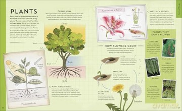 Explore: Science: A Visual Journey Through Our World - DK [KSIĄŻKA]