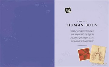 Explore: Science: A Visual Journey Through Our World - DK [KSIĄŻKA]