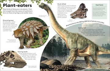Eyewonder Dinosaurs: Open Your Eyes to a World of Discovery - DK [KSIĄŻKA]