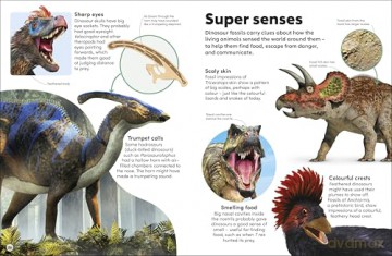 Eyewonder Dinosaurs: Open Your Eyes to a World of Discovery - DK [KSIĄŻKA]