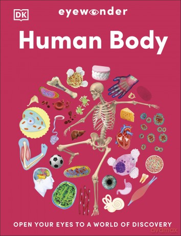 Eyewonder Human Body: Open Your Eyes to a World of Discovery - DK [KSIĄŻKA]