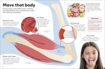 Eyewonder Human Body: Open Your Eyes to a World of Discovery - DK [KSIĄŻKA]