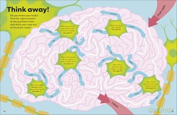 Eyewonder Human Body: Open Your Eyes to a World of Discovery - DK [KSIĄŻKA]