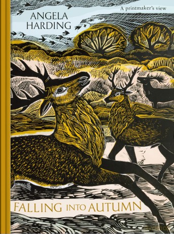 Falling into Autumn: part of a beautiful new series from beloved illustrator and print-maker Angela Harding - Angela Harding [KSIĄŻKA]