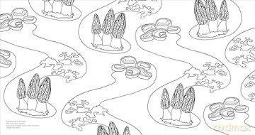 Fascinating Fungi Colouring Book: Over 75 Natural Wonders to Colour and Explore - DK [KSIĄŻKA]