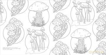 Fascinating Fungi Colouring Book: Over 75 Natural Wonders to Colour and Explore - DK [KSIĄŻKA]