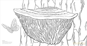 Fascinating Fungi Colouring Book: Over 75 Natural Wonders to Colour and Explore - DK [KSIĄŻKA]