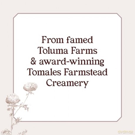 Feasts on the Farm: Over 60 Seasonal Recipes and Stories of Sustainable Farming from Tomales Farmstead Creamery - Tamara Jo Hicks [KSIĄŻKA]