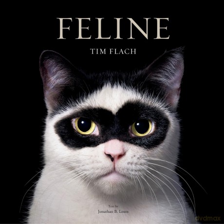 Feline: Photographs - Tim Flach [KSIĄŻKA]
