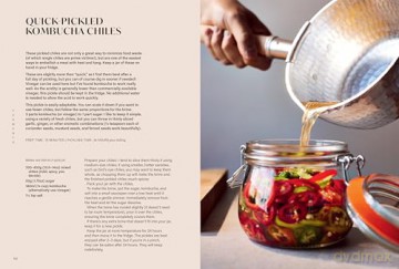 Ferment: Simple Recipes from My Multicultural Kitchen: Casual Recipes from My Multicultural Kitchen - Kenji Morimoto [KSIĄŻKA]