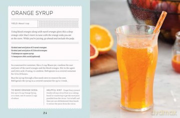 Fizz: 70+ Homemade Artisan Sodas - Andrea Lynn [KSIĄŻKA]