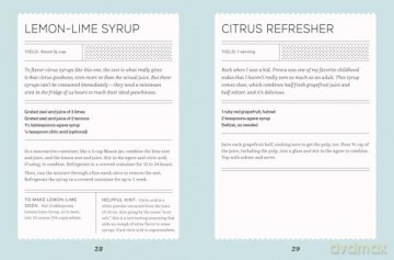 Fizz: 70+ Homemade Artisan Sodas - Andrea Lynn [KSIĄŻKA]