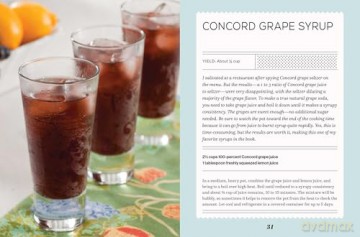 Fizz: 70+ Homemade Artisan Sodas - Andrea Lynn [KSIĄŻKA]