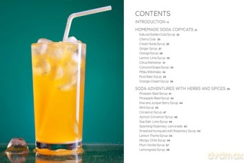 Fizz: 70+ Homemade Artisan Sodas - Andrea Lynn [KSIĄŻKA]