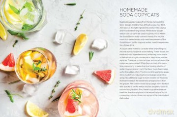 Fizz: 70+ Homemade Artisan Sodas - Andrea Lynn [KSIĄŻKA]