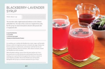 Fizz: 70+ Homemade Artisan Sodas - Andrea Lynn [KSIĄŻKA]